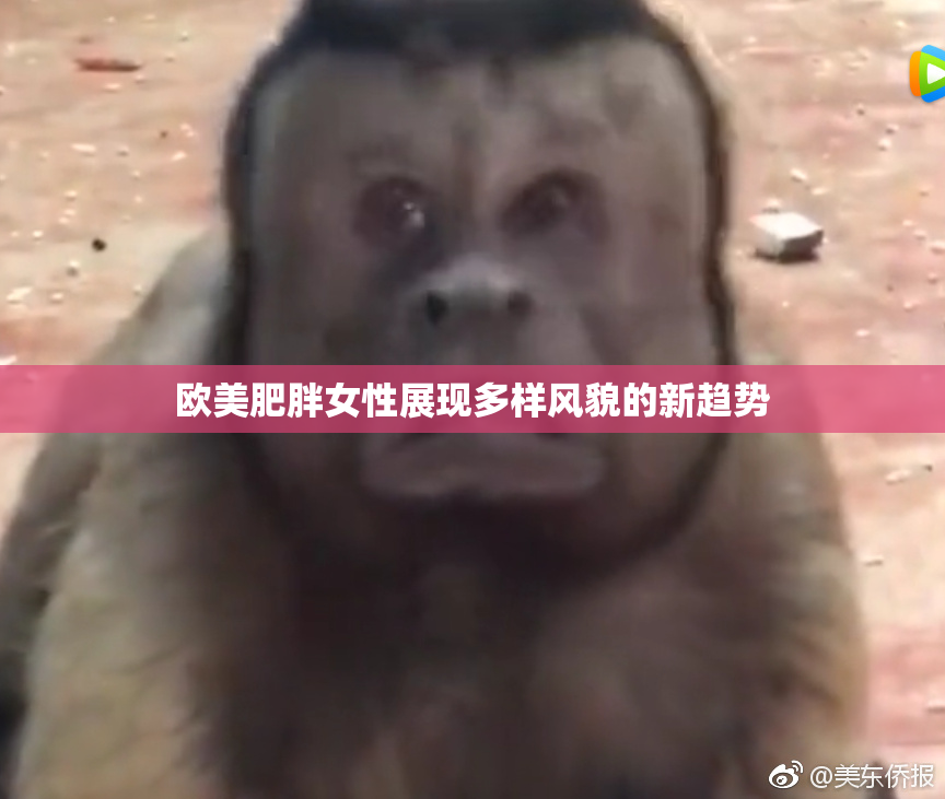 欧美肥胖女性展现多样风貌的新趋势