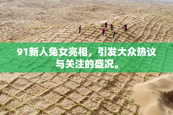 91新人兔女亮相，引发大众热议与关注的盛况。