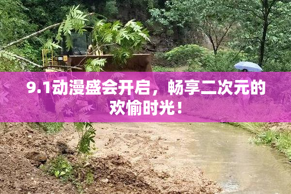 9.1动漫盛会开启，畅享二次元的欢愉时光！