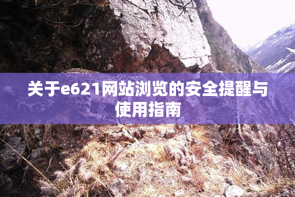 关于e621网站浏览的安全提醒与使用指南