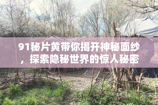 91秘片黄带你揭开神秘面纱，探索隐秘世界的惊人秘密