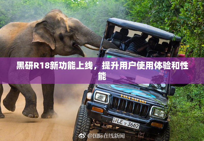 黑研R18新功能上线，提升用户使用体验和性能
