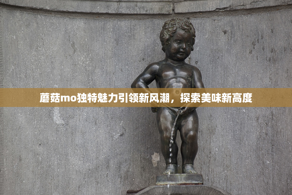 蘑菇mo独特魅力引领新风潮，探索美味新高度