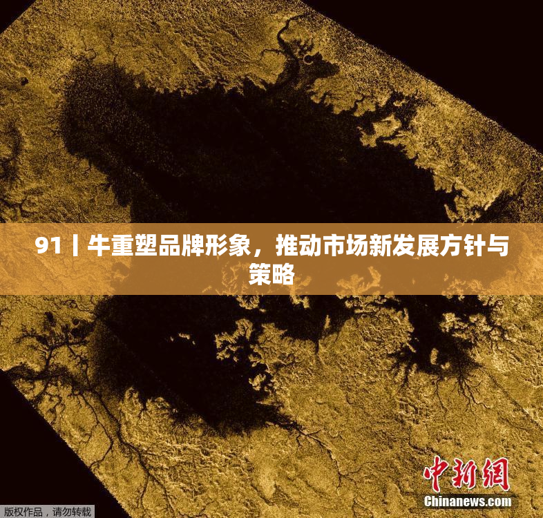 91丨牛重塑品牌形象，推动市场新发展方针与策略
