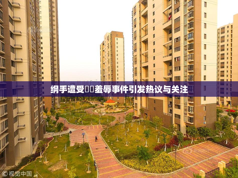 纲手遭受❌‌羞辱事件引发热议与关注