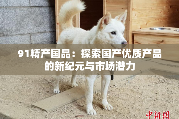 91精产国品：探索国产优质产品的新纪元与市场潜力