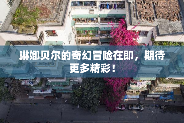 琳娜贝尔的奇幻冒险在即，期待更多精彩！