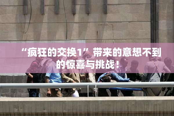 “疯狂的交换1”带来的意想不到的惊喜与挑战！