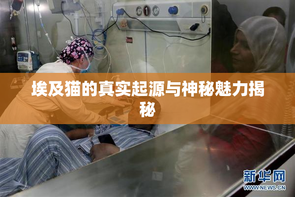埃及猫的真实起源与神秘魅力揭秘