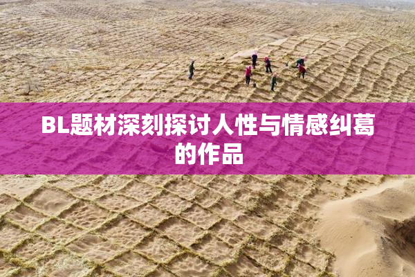 BL题材深刻探讨人性与情感纠葛的作品