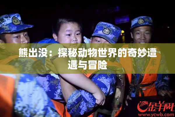 熊出没：探秘动物世界的奇妙遭遇与冒险