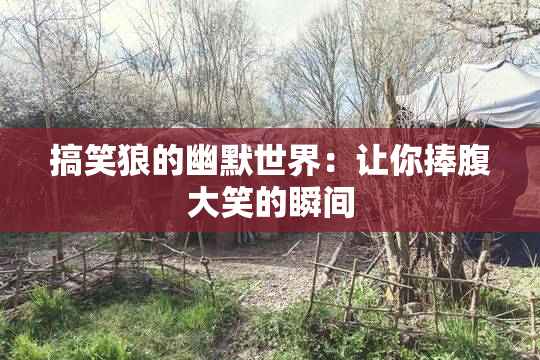 搞笑狼的幽默世界：让你捧腹大笑的瞬间