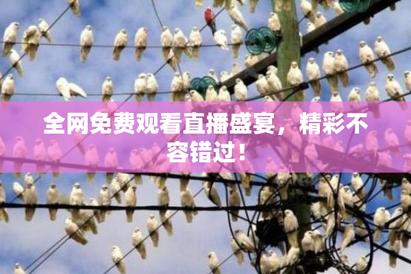 全网免费观看直播盛宴，精彩不容错过！