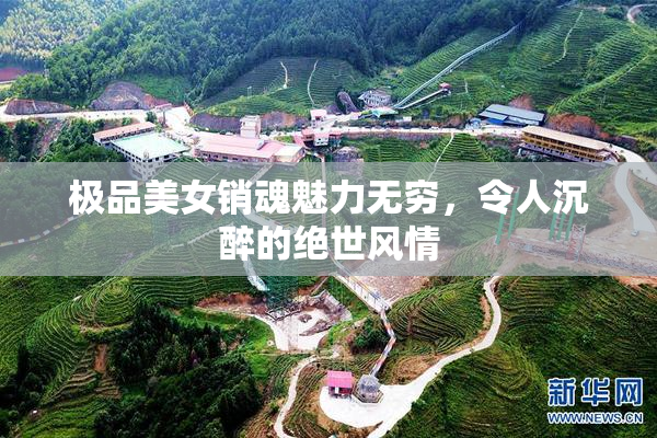 极品美女销魂魅力无穷，令人沉醉的绝世风情