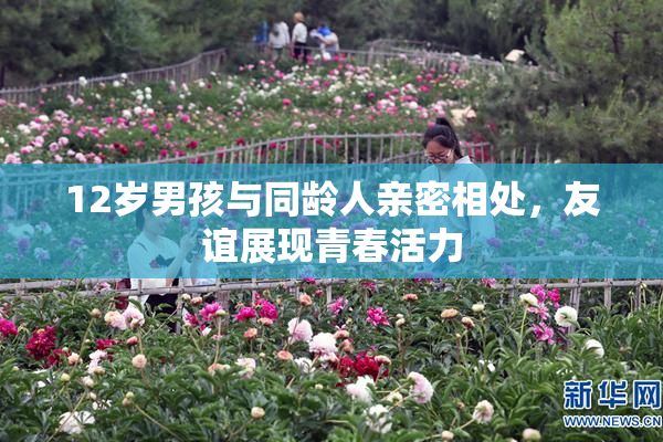 12岁男孩与同龄人亲密相处，友谊展现青春活力