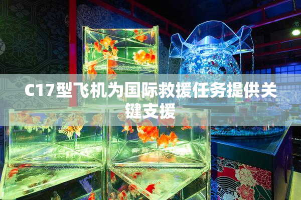 C17型飞机为国际救援任务提供关键支援