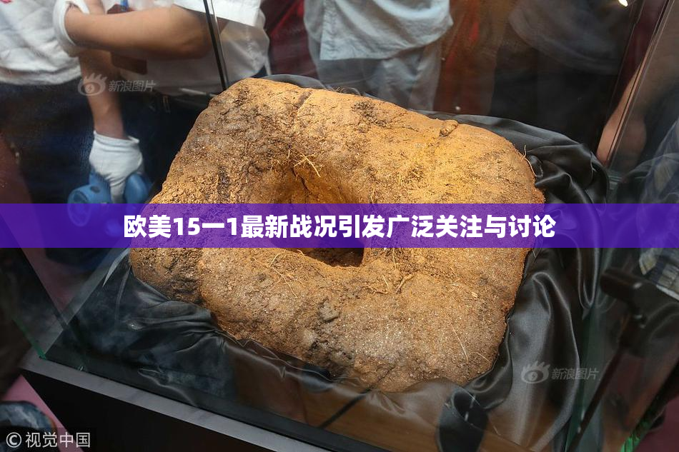 欧美15一1最新战况引发广泛关注与讨论
