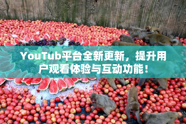 YouTub平台全新更新，提升用户观看体验与互动功能！