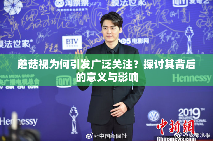 蘑菇视为何引发广泛关注？探讨其背后的意义与影响