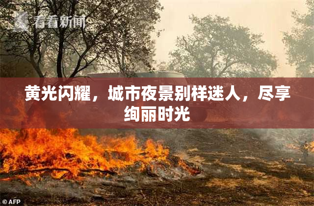 黄光闪耀，城市夜景别样迷人，尽享绚丽时光
