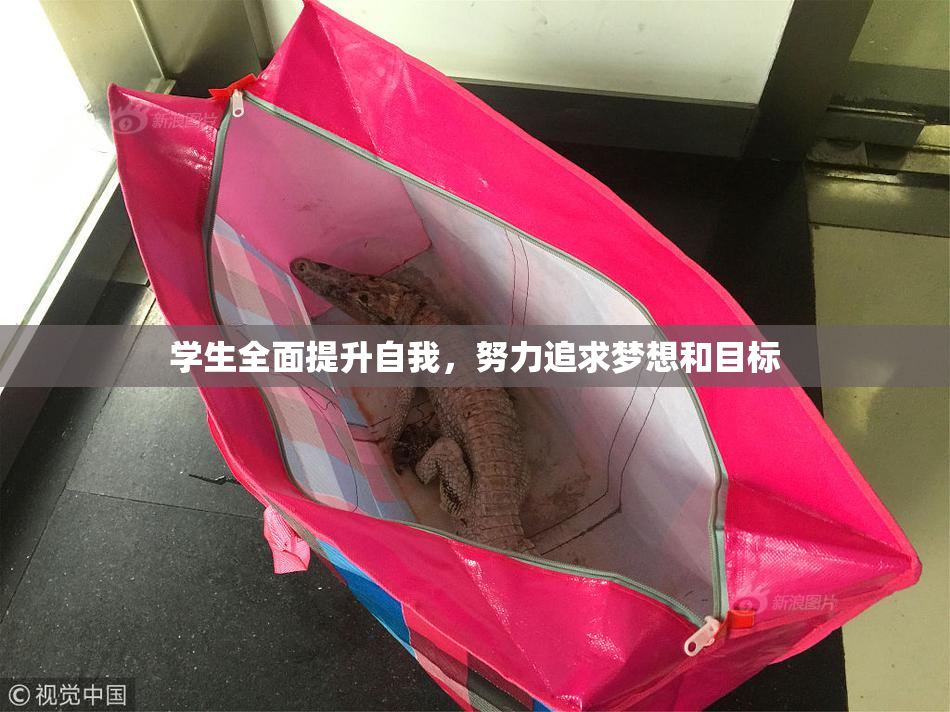 学生全面提升自我，努力追求梦想和目标
