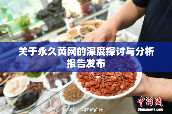 关于永久黄网的深度探讨与分析报告发布