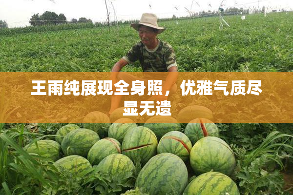 王雨纯展现全身照，优雅气质尽显无遗