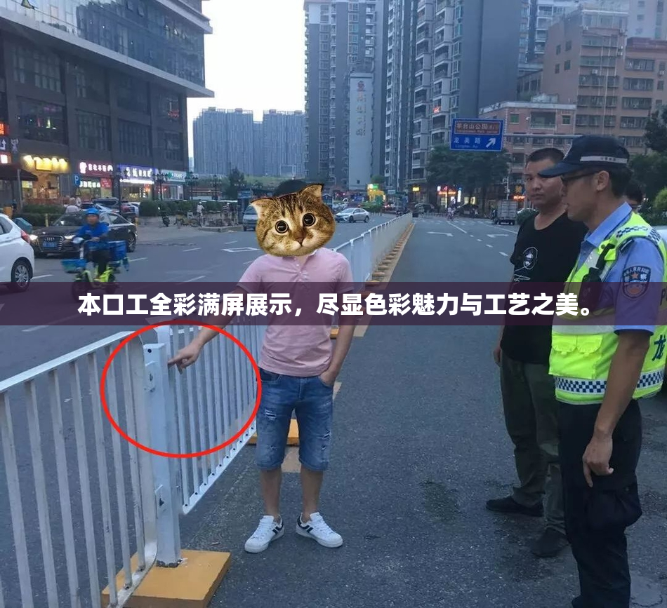 本口工全彩满屏展示，尽显色彩魅力与工艺之美。