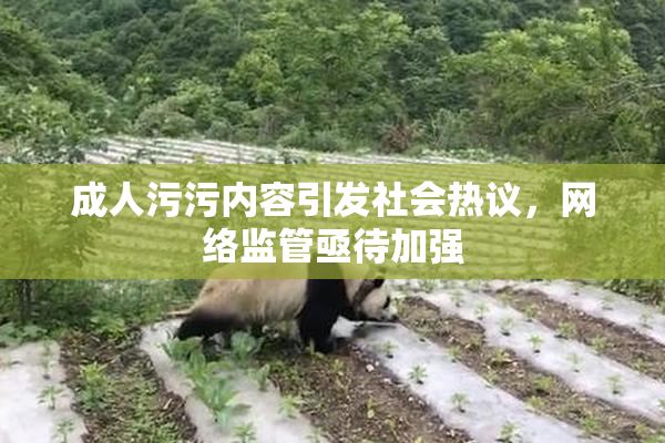 成人污污内容引发社会热议，网络监管亟待加强