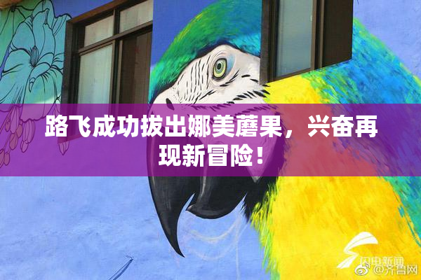 路飞成功拔出娜美蘑果，兴奋再现新冒险！