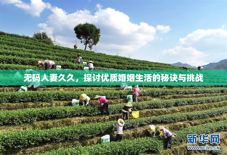 无码人妻久久，探讨优质婚姻生活的秘诀与挑战
