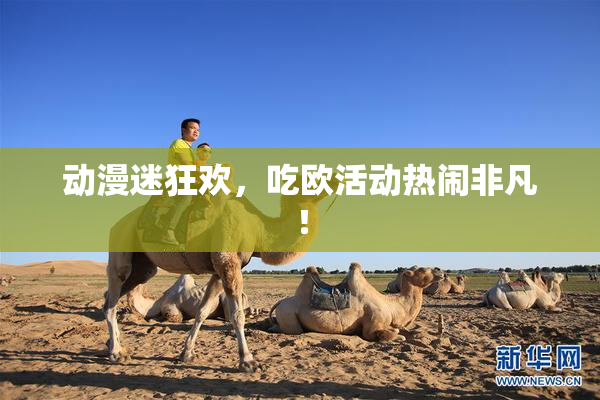 动漫迷狂欢，吃欧活动热闹非凡！