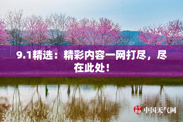 9.1精选：精彩内容一网打尽，尽在此处！