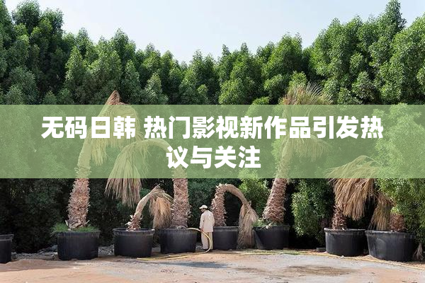 无码日韩 热门影视新作品引发热议与关注