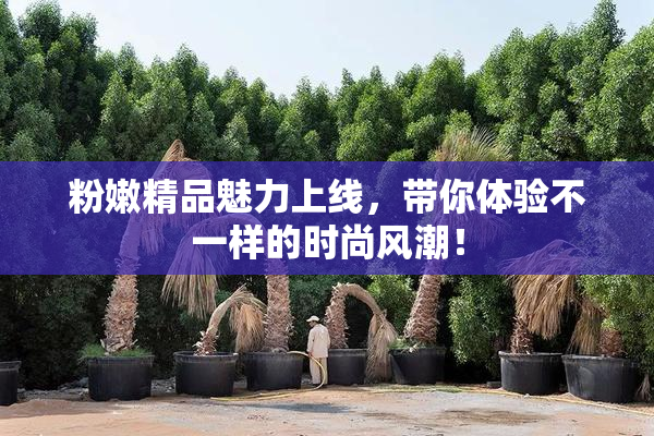 粉嫩精品魅力上线，带你体验不一样的时尚风潮！