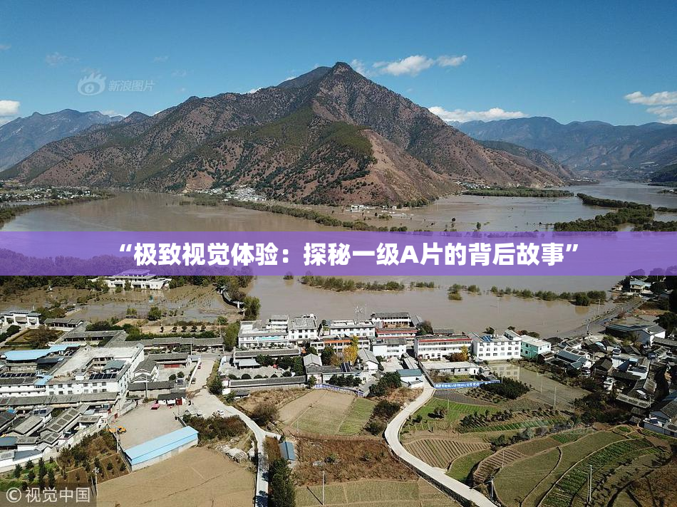 “极致视觉体验：探秘一级A片的背后故事”