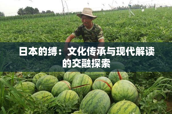 日本的缚：文化传承与现代解读的交融探索