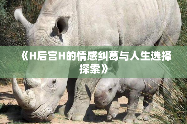 《H后宫H的情感纠葛与人生选择探索》