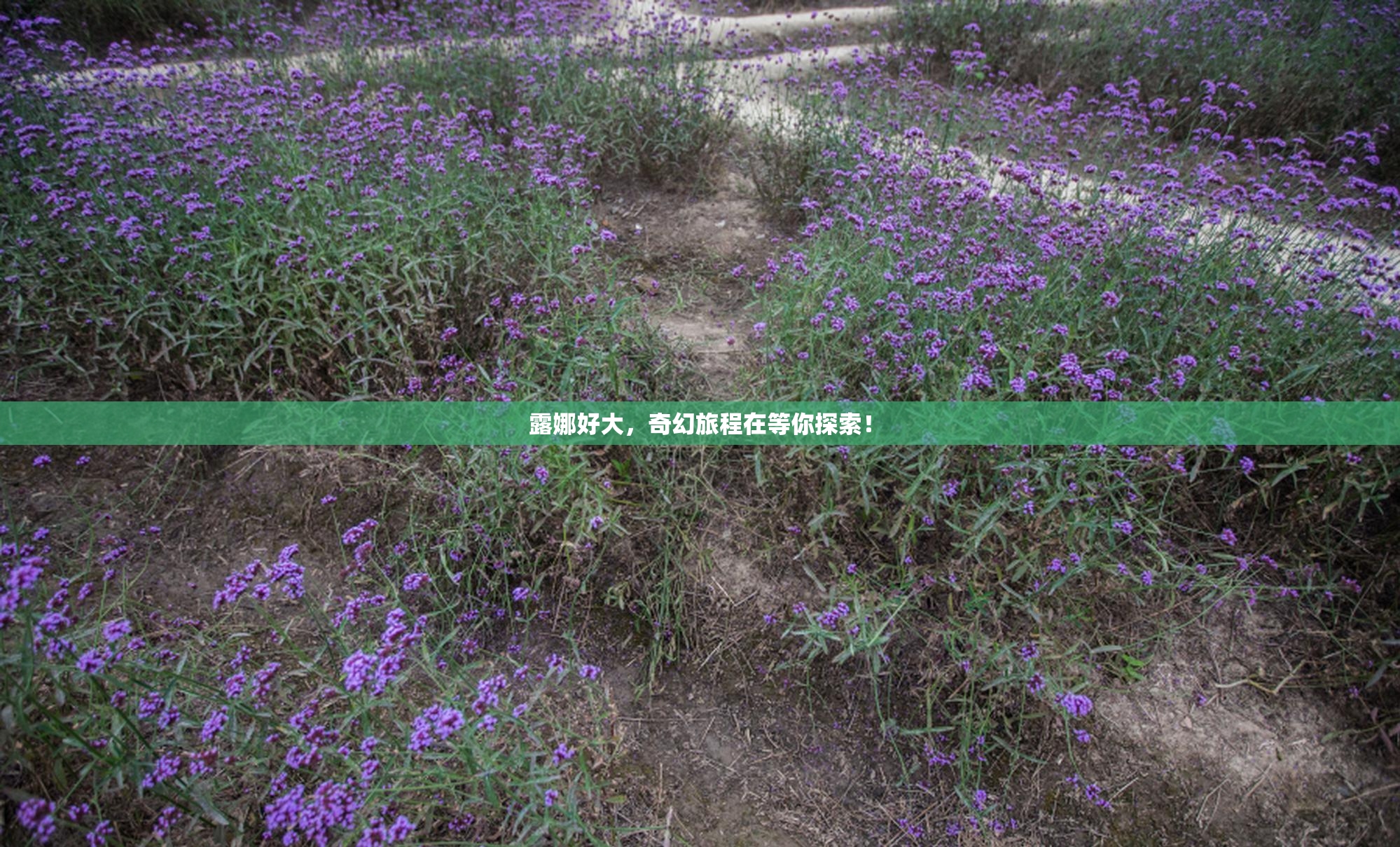 露娜好大，奇幻旅程在等你探索！