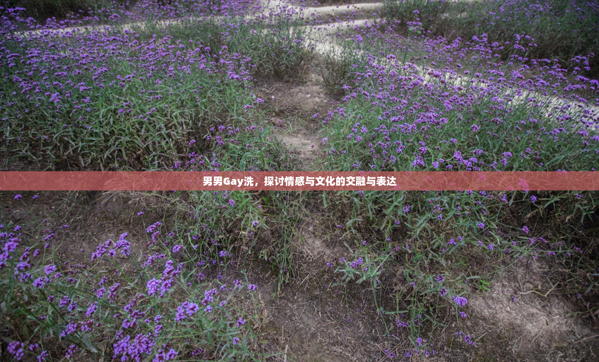 男男Gay洗，探讨情感与文化的交融与表达