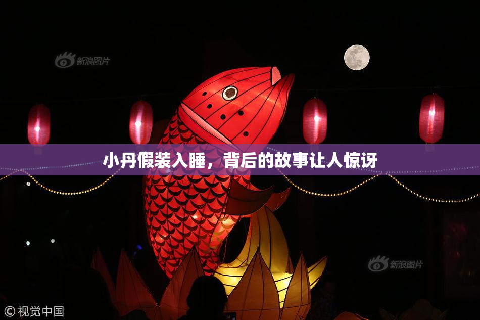 小丹假装入睡，背后的故事让人惊讶