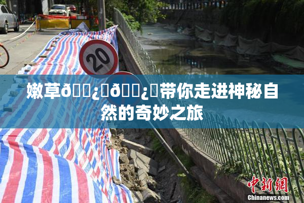 嫩草🌿‌🌿‌带你走进神秘自然的奇妙之旅