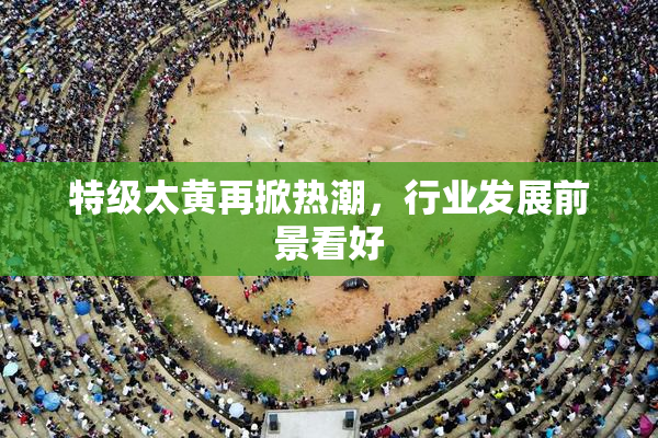 特级太黄再掀热潮，行业发展前景看好