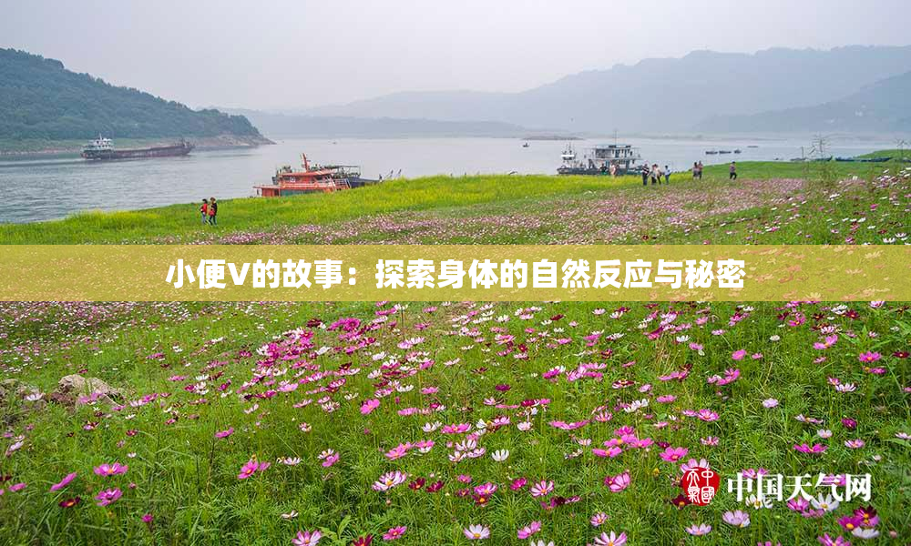 小便V的故事：探索身体的自然反应与秘密