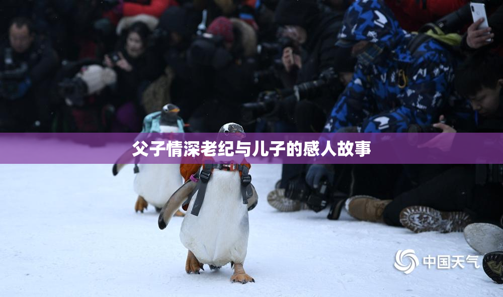 父子情深老纪与儿子的感人故事
