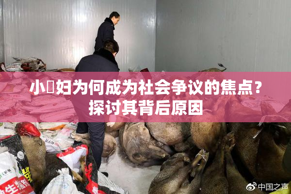 小婬妇为何成为社会争议的焦点？探讨其背后原因