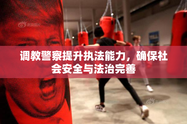 调教警察提升执法能力，确保社会安全与法治完善