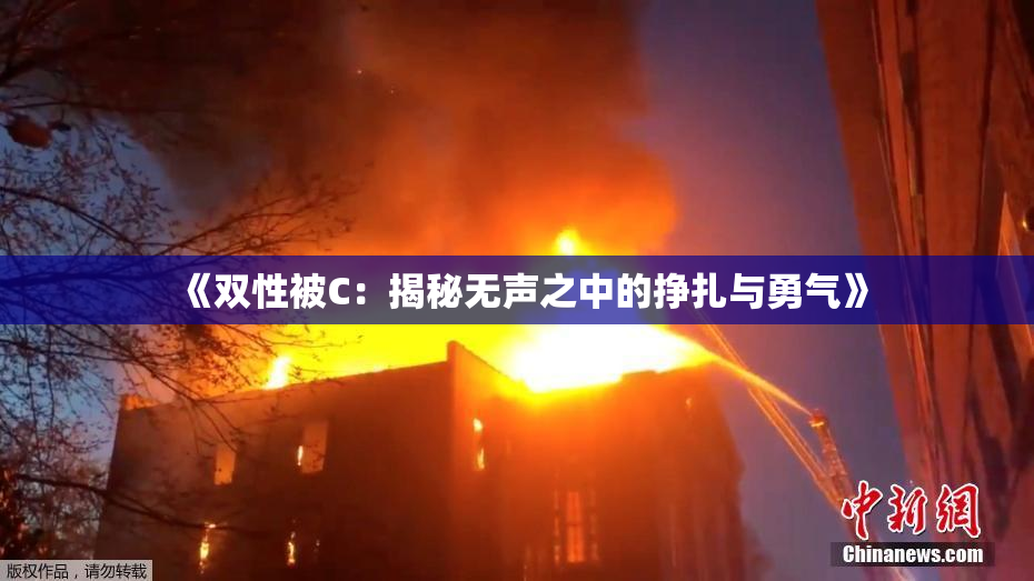 《双性被C：揭秘无声之中的挣扎与勇气》