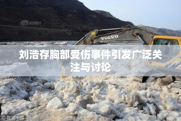 刘浩存胸部受伤事件引发广泛关注与讨论