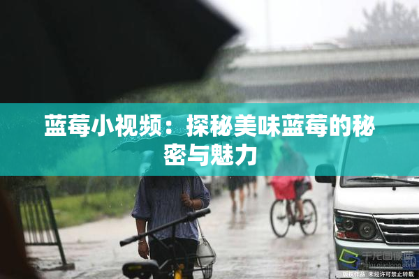 蓝莓小视频：探秘美味蓝莓的秘密与魅力